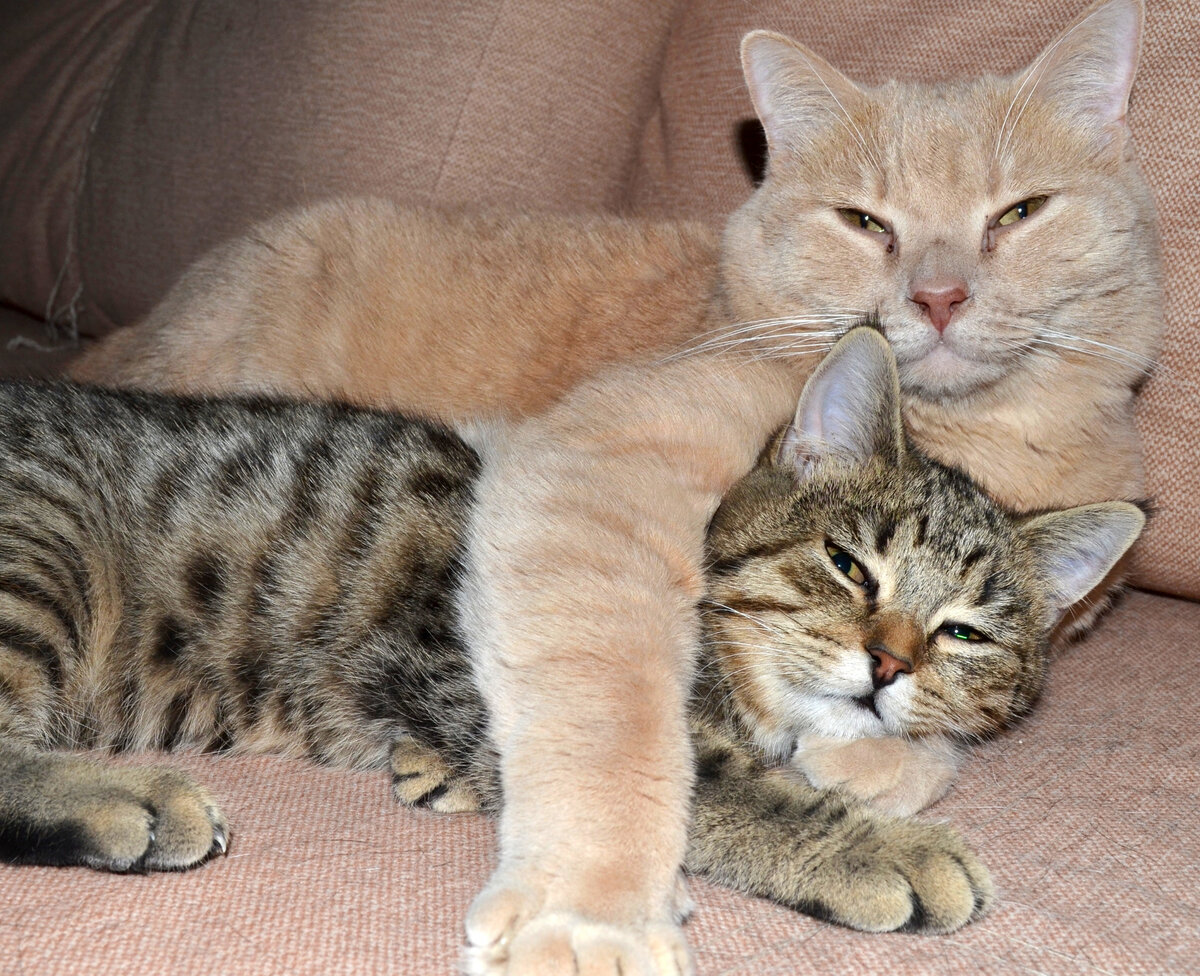 Мы тут спим. А ты чё пришла? Есть принесла? 