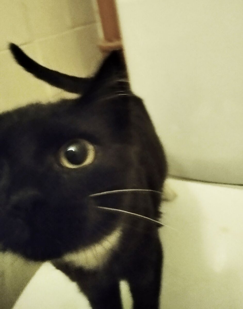 Ты про меня забыла! 