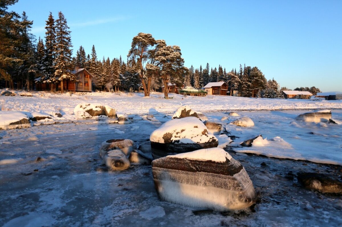 Эко-отель Cedar Grass Белое Море, Умба, Мурманская область