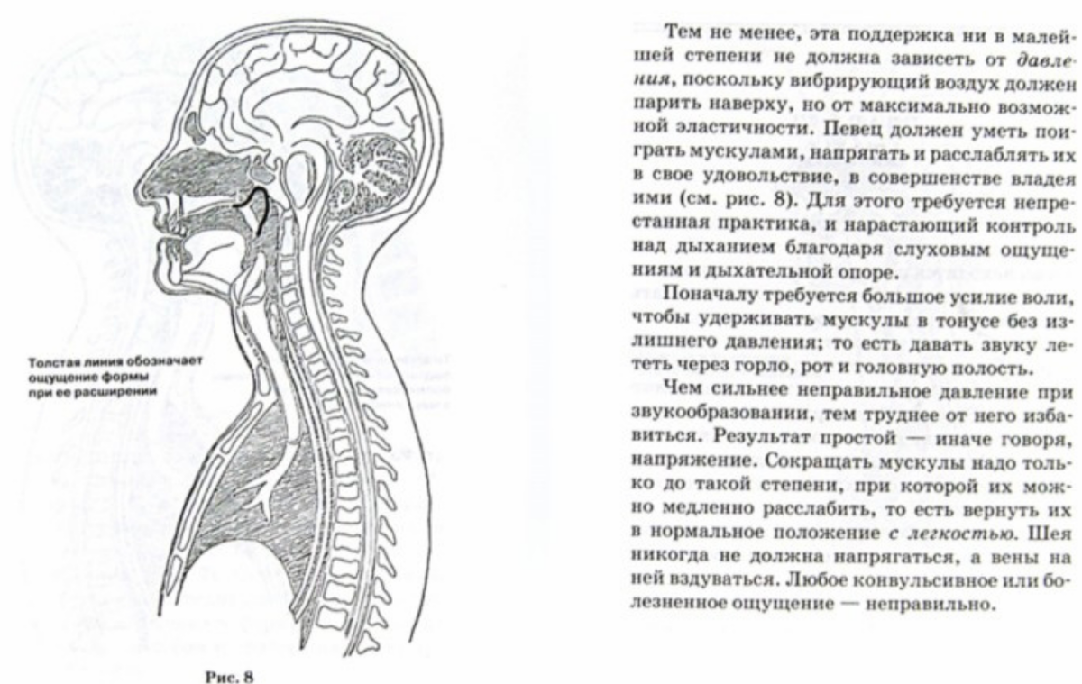 Что делать,если с утра голос хрипит, а вечером выступление? Совет от ...