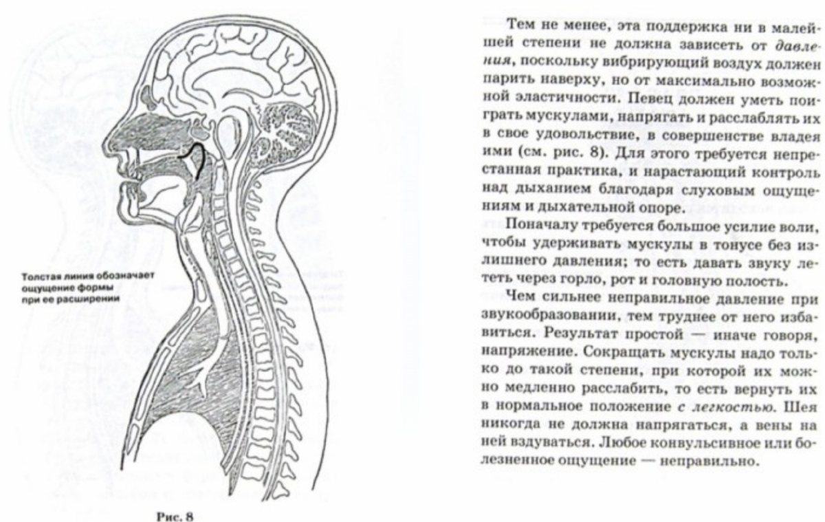 Лечение осиплости голоса у ребенка - ЛОР клиника №1