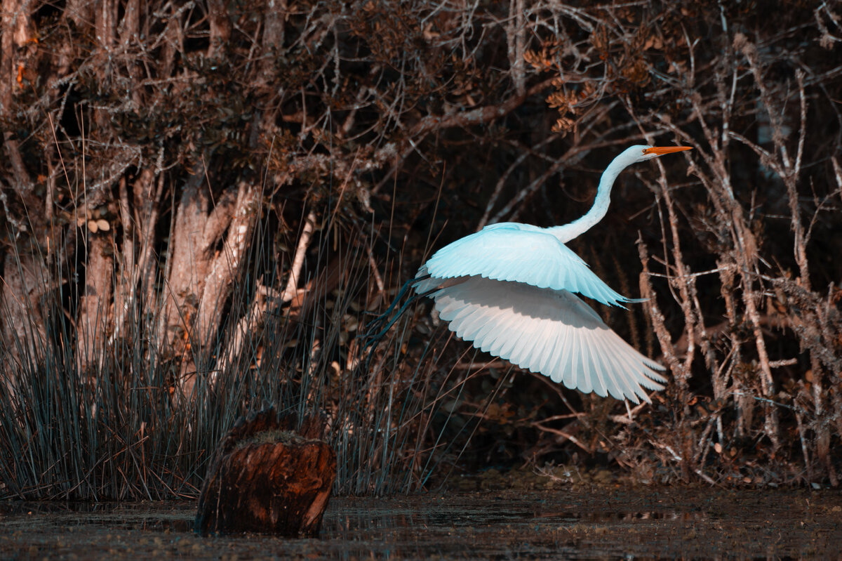 Картинка с бесплатного фотостока https://unsplash.com, автор Fernando Escobar