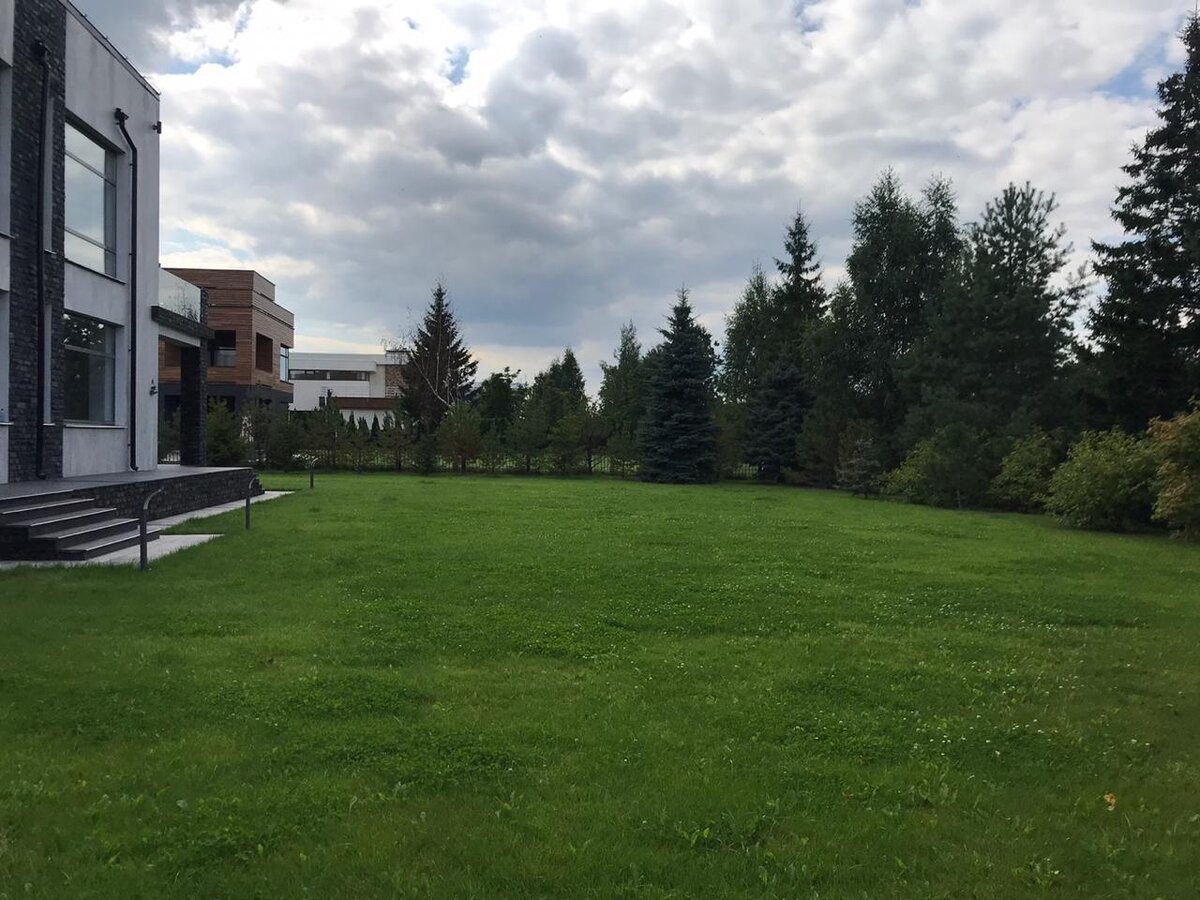 так выглядел участок, когда мы приехали его смотреть