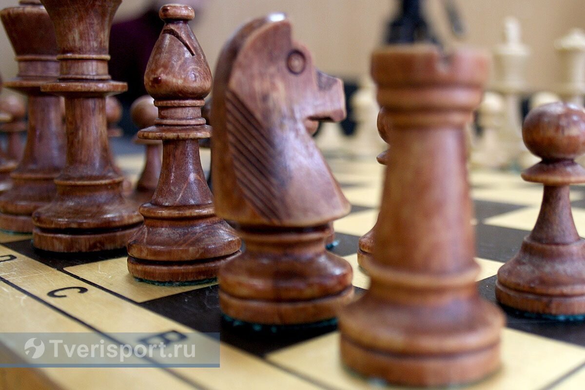 шахматная тверь. шахматы на тверской. шахматист переставляет фигуру. шахматная тверь. шахматы медведь тверь.