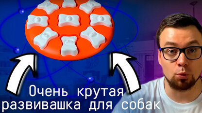 Умный обзор: очень крутая развивашка для собак