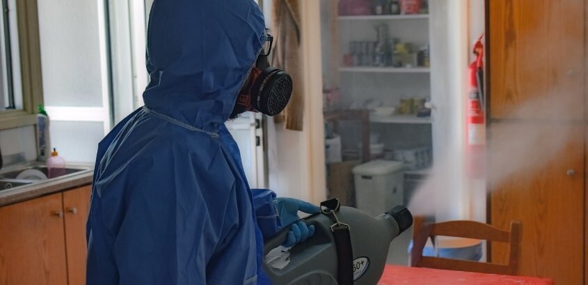 Дезинсекция помещений: Подготовка, Средства и Процесс