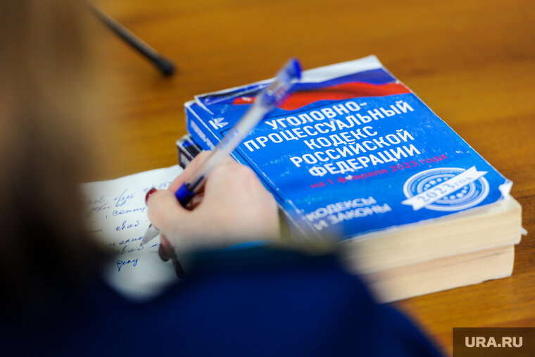    Суд назначил виновному наказание в виде штрафа