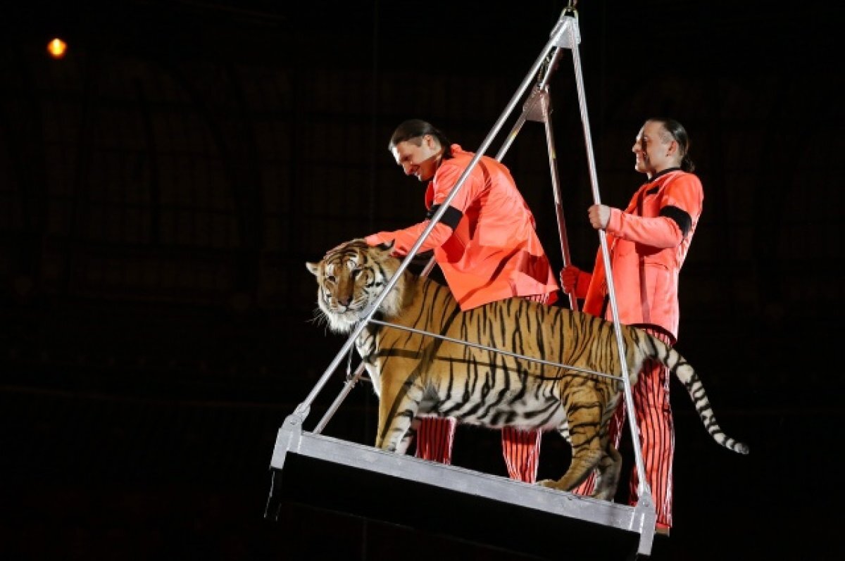    Аскольд Запашный рассказал о помощи военным СВО в реабилитации