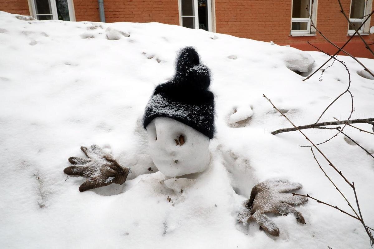    Народные приметы обещают снежную, но не суровую зиму Ольга Севрюгина