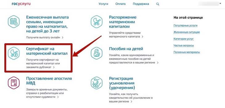 Выплата материнского капитала через госуслуги. Материнский капитал через госуслуги. Мат капитал на госуслугах. Как оформить материнский капитал через госуслуги. Сертификат на мат капитал в госуслугах.