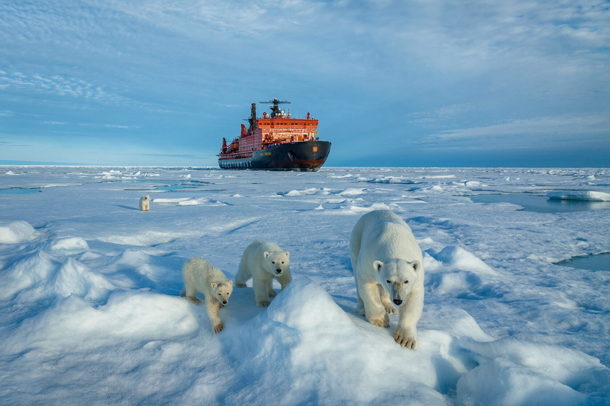 Ледокол Северный полюс. Мурманск Северный полюс Мурманск. Северный Ледовитый полюс. Круиз на Северный полюс на атомном ледоколе.