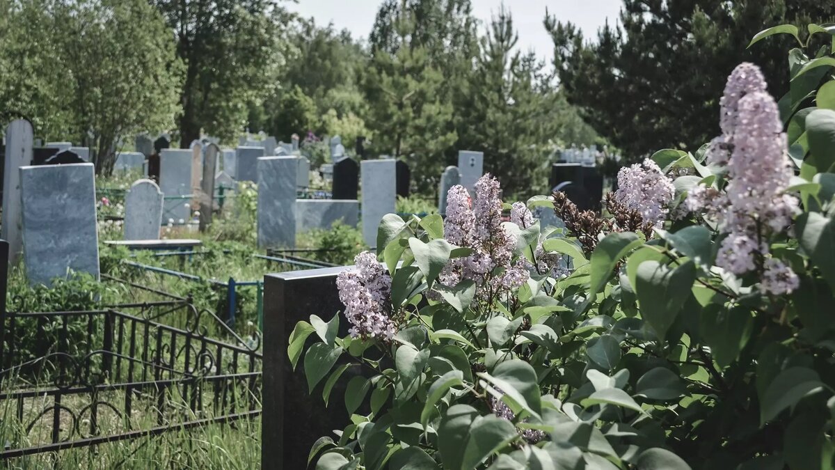 Жителей Белгорода предложили хоронить за городом | Бел.Ру | Дзен