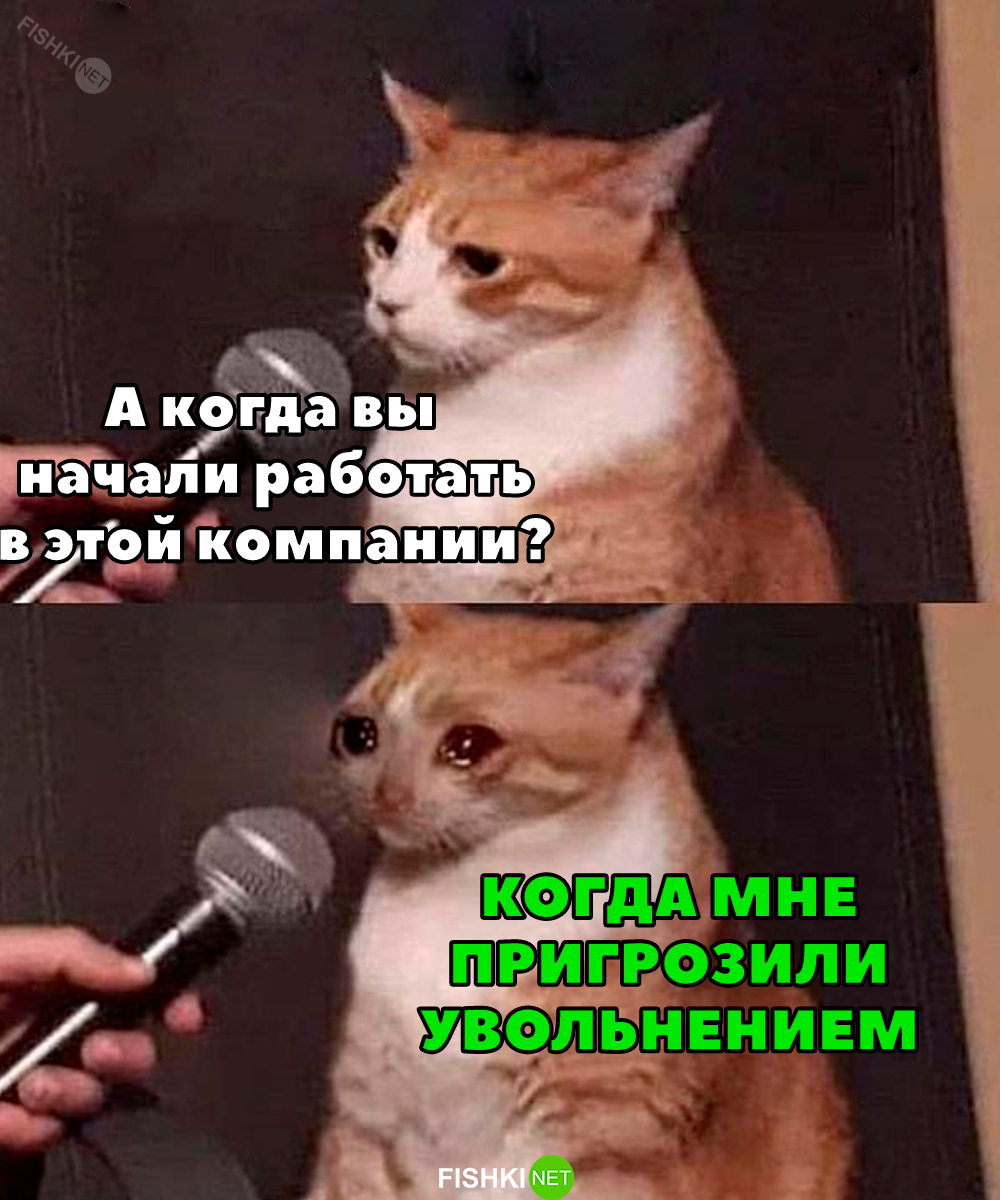 Мем увольнение