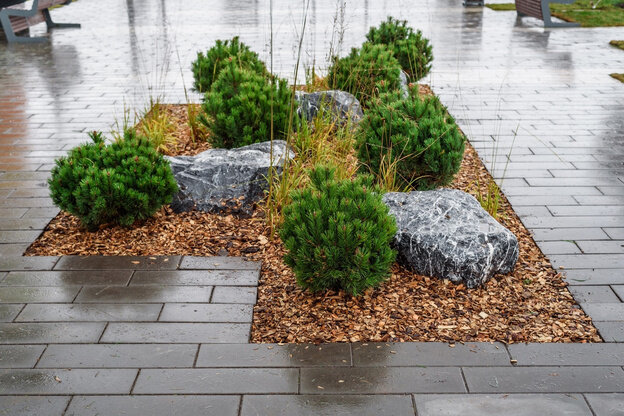    В Чистых Прудах благоустроили новый сквер