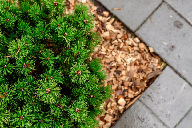    В Чистых Прудах благоустроили новый сквер