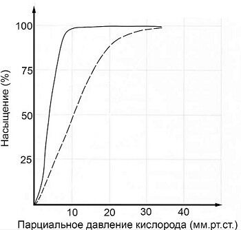 Скачать ответы и все задания 1. Выберите один из нескольких вариантов На занятии биологического кружка школьники выполняли необычную лабораторную работу.-65