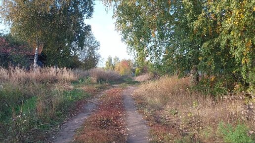 ВРЕЗАЛИСЬ В БЕРЕЗУ. ПОРОСЕНОК СТЕПА - ЗВЕЗДА ЮТУБА. ПО УЛИЦАМ ДЕЯНОВА И КУРМЫША.