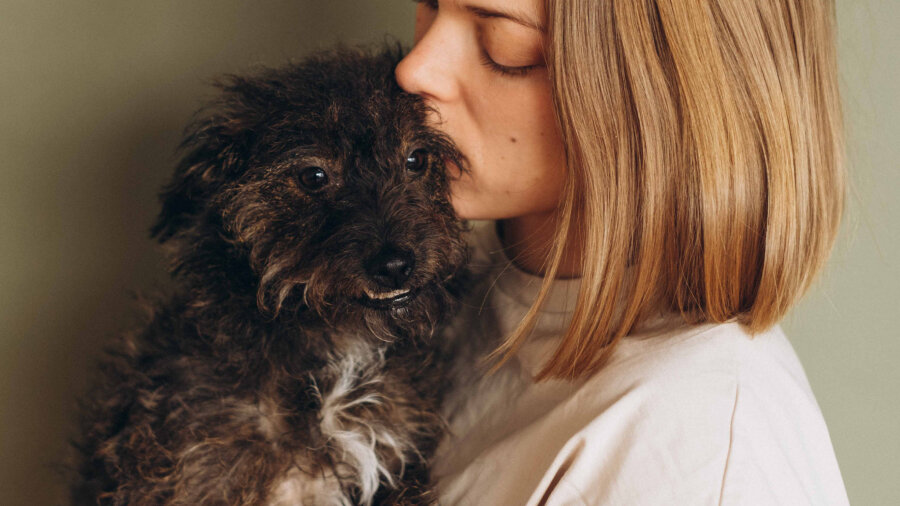 Будьте опорой для вашей собаки