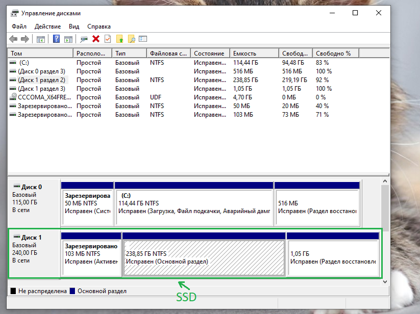 Окно "Управление дисками"