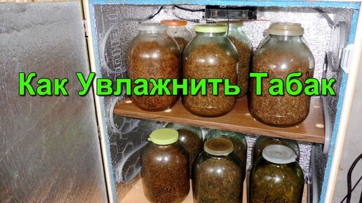 Простые способы увлажнения Табака.