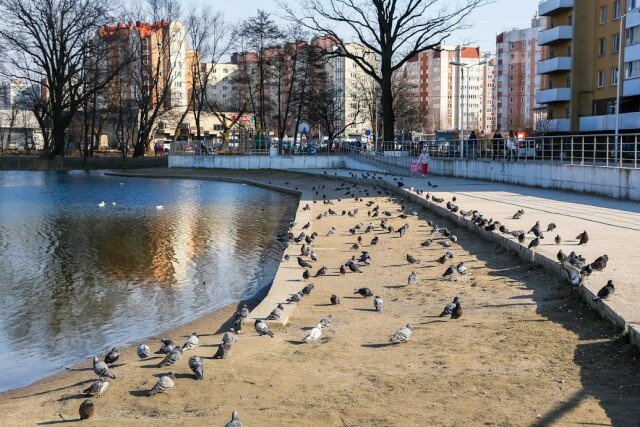   Фото из архива Калининград.Ru