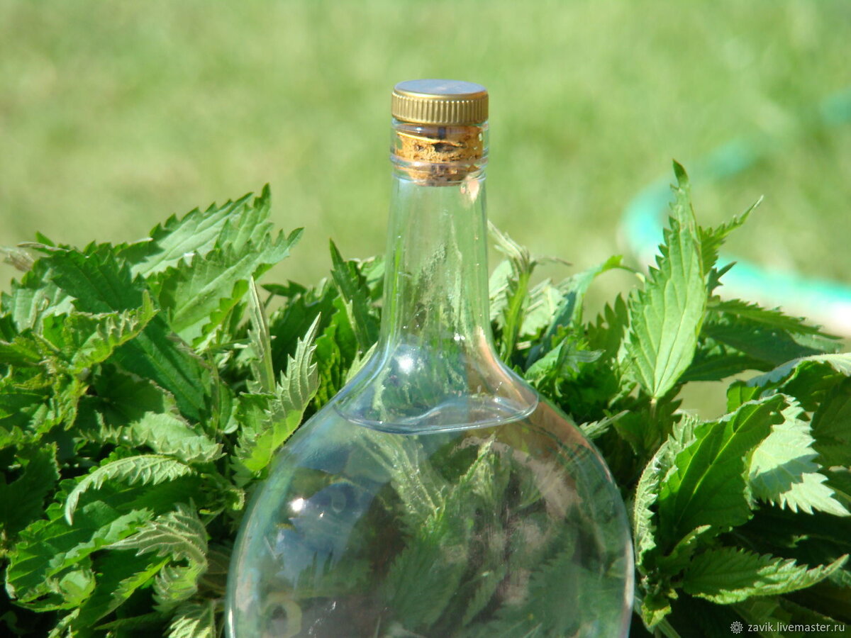 Изображение есть в открытом доступе в Интернет