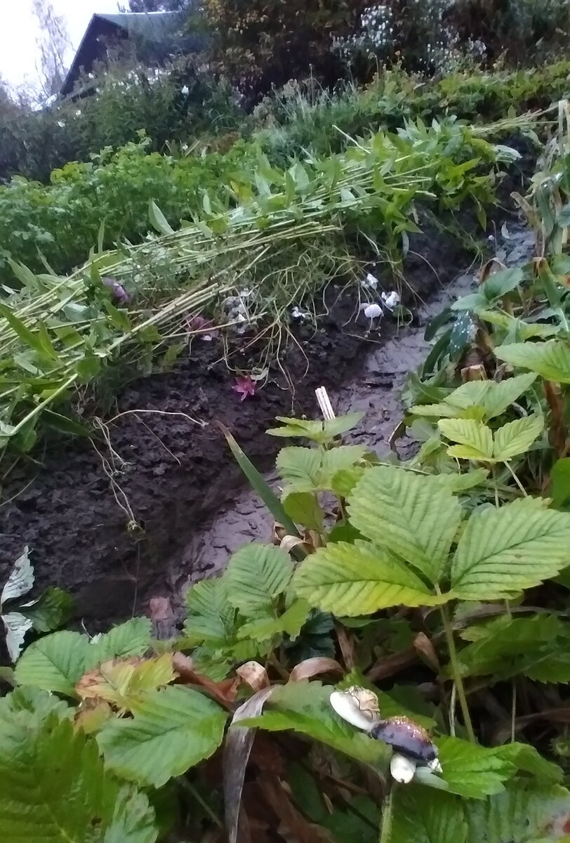 Одобрительно смотрит