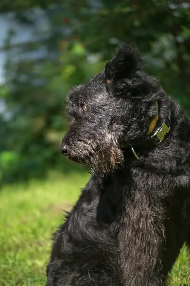 Чапа строит глазки