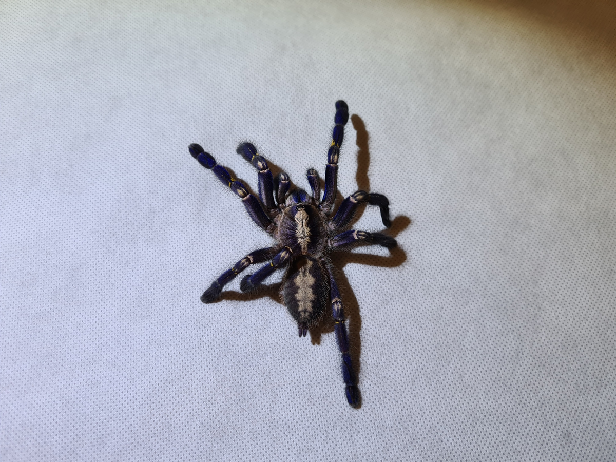 фото из Интернета