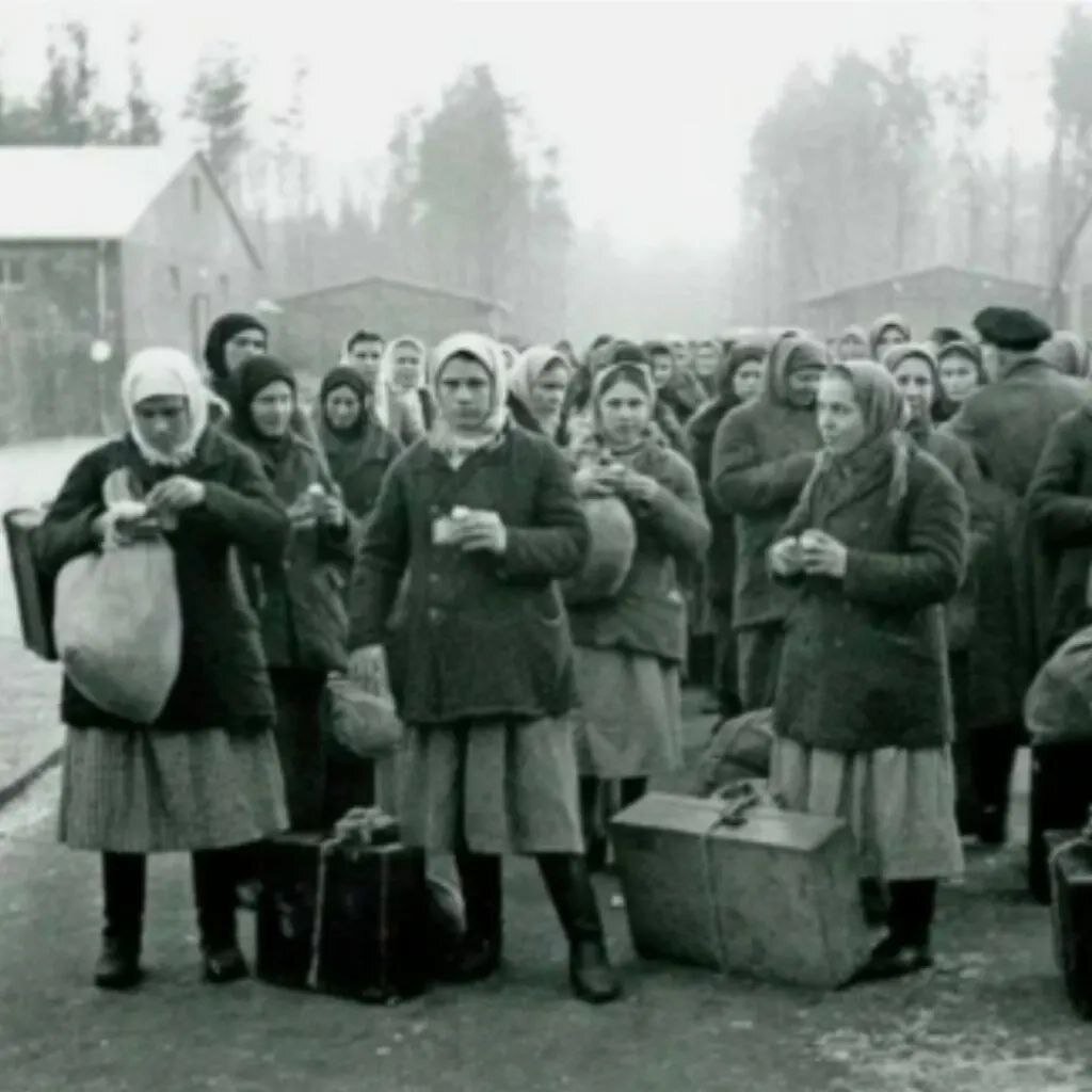 Живой товар» или что стало с гражданами СССР, угнанными в Германию.  Остарбайтеры. | Nasledie Digital | Дзен