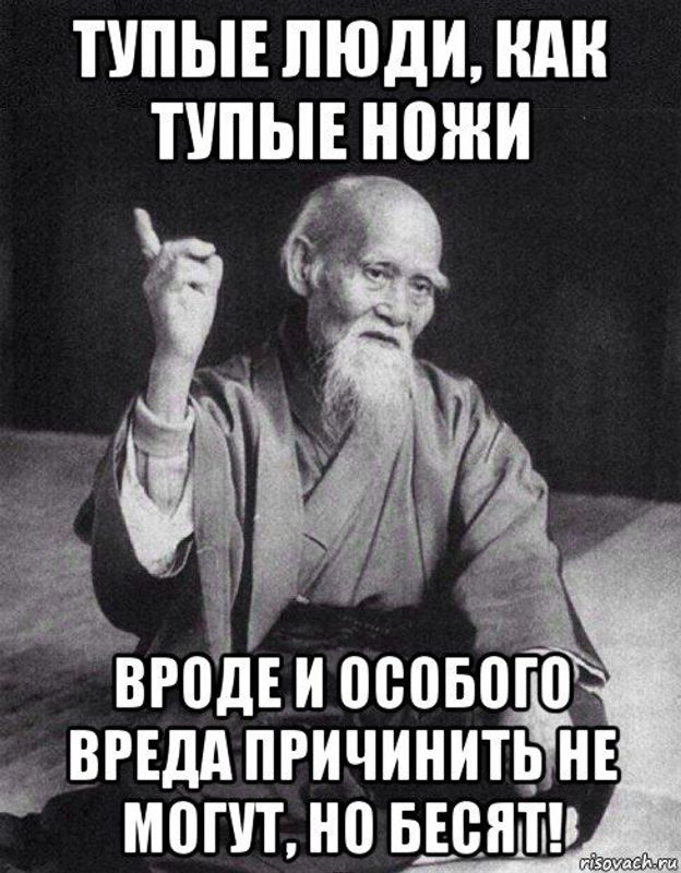 Всякий имеет право быть глупым alexunited Дзен
