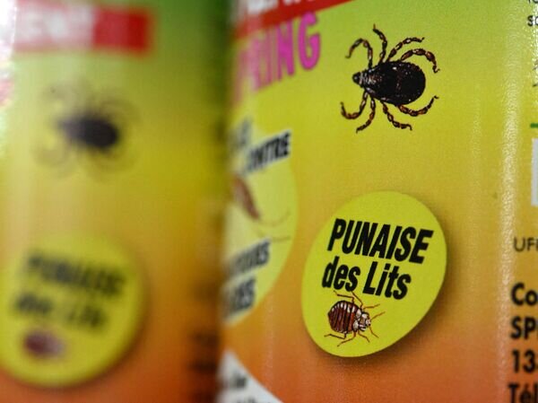    © AFP 2023 / MIGUEL MEDINA