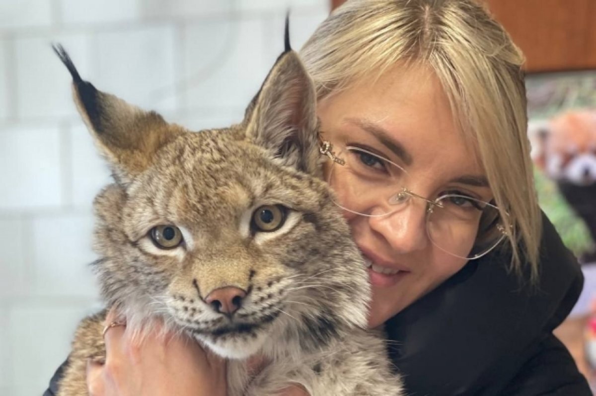    Специалисты зоопарка с нетерпением ждут переезда на новую площадку.