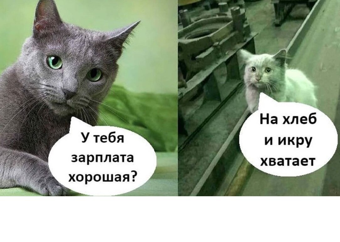 Мне хватает только на имитированную икру 😁