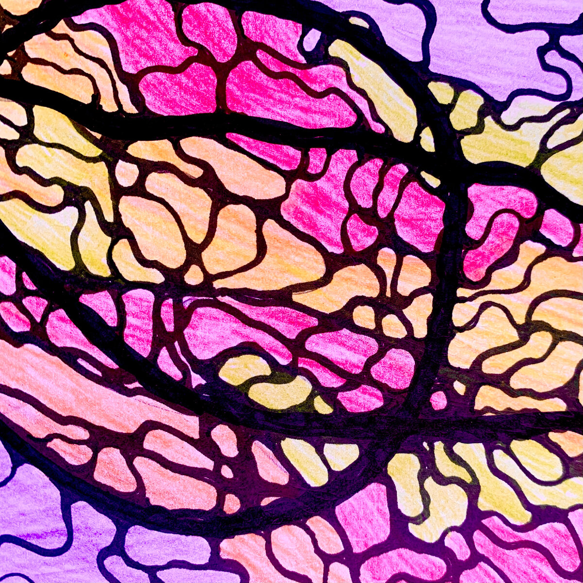 Нейрографика со Светланой Давыдоой