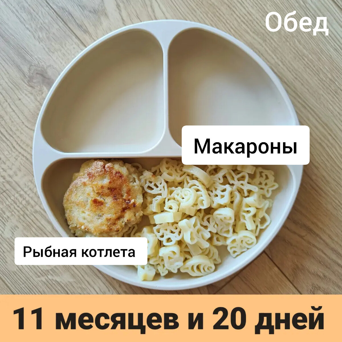 Пример тарелки в 11 месяцев 