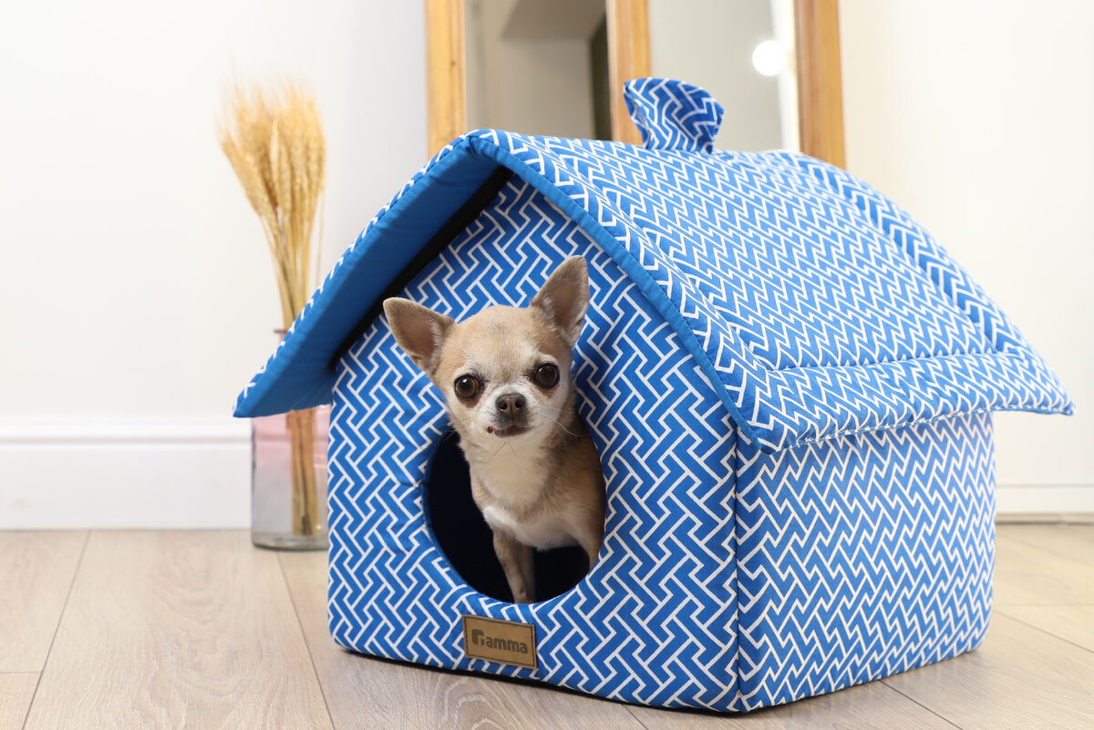 На фото — дом Вигвам "Регата", Gamma