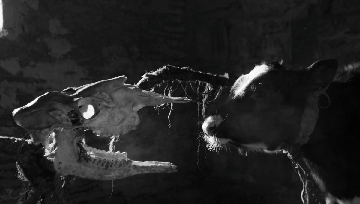 Кадр из фильма