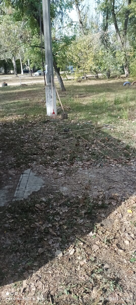 Выйдя за шаурмой