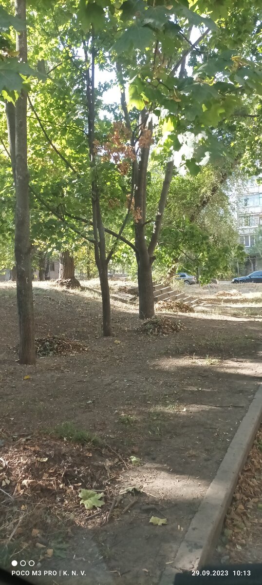 Эти кучи в течении часа исчезли