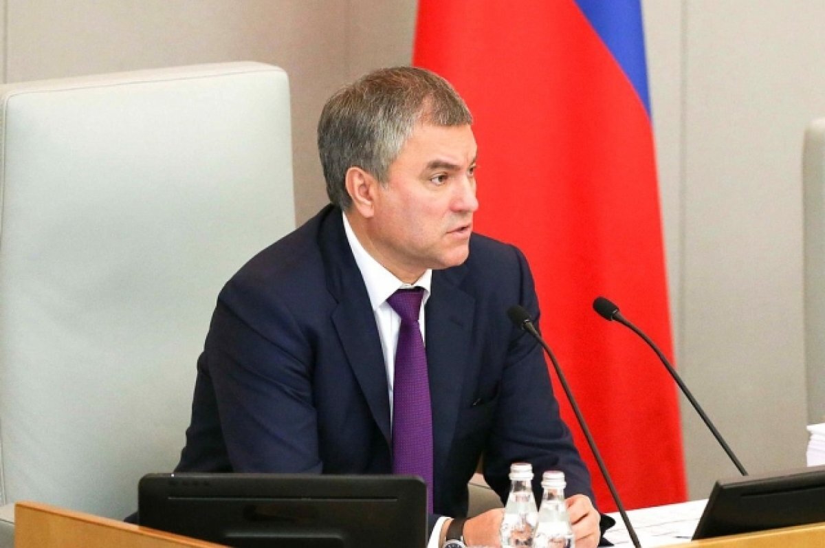    Володин: Поддерживающие Киев релоканты должны ответить по закону