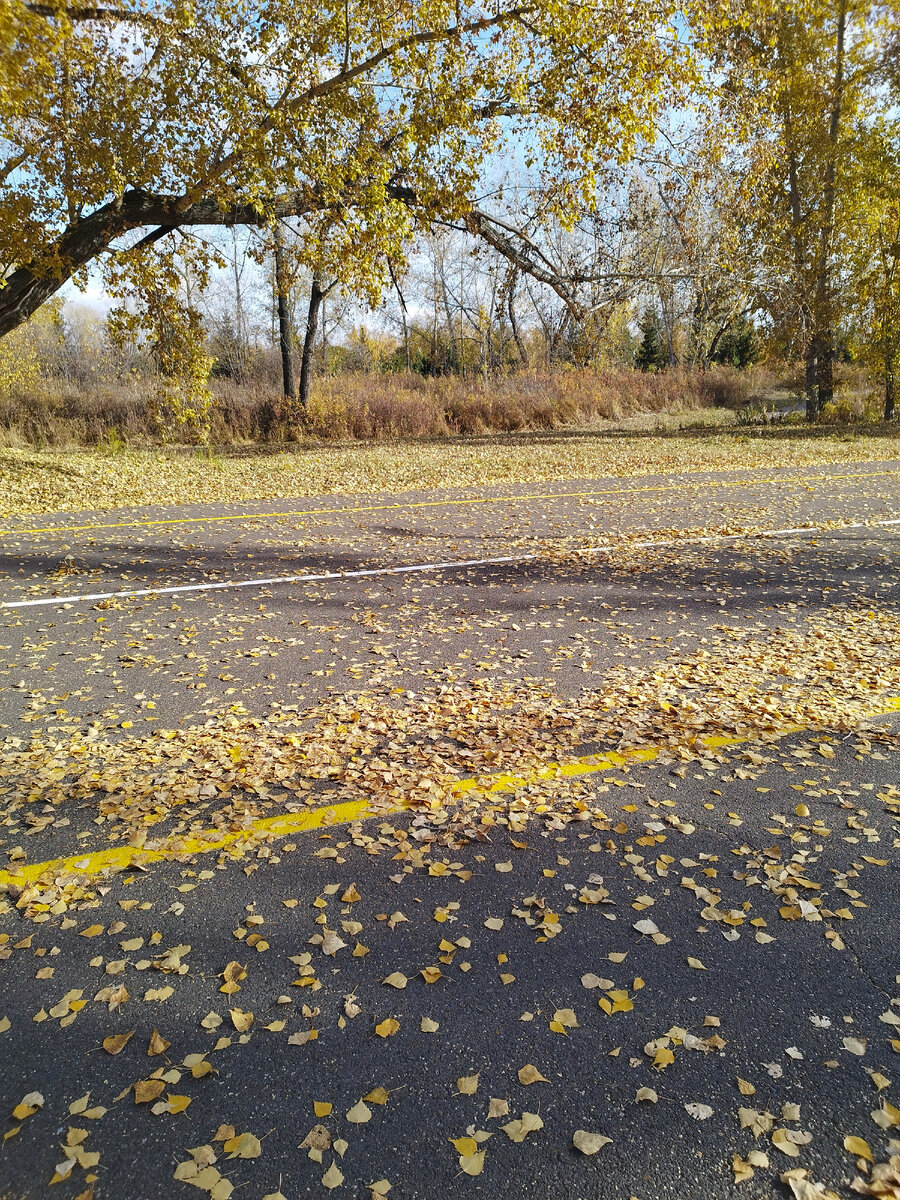 На дорожках листьев много. Но и на деревьях ещё хватает. Фото из личного архива автора