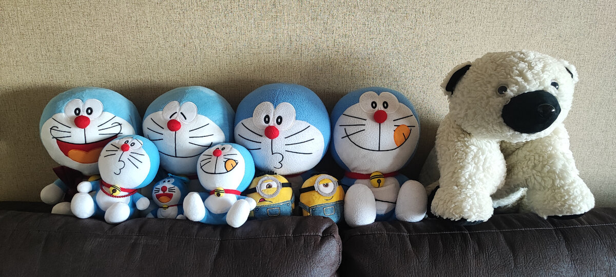 Коты и Мишка остались в Краснодаре зимовать) 