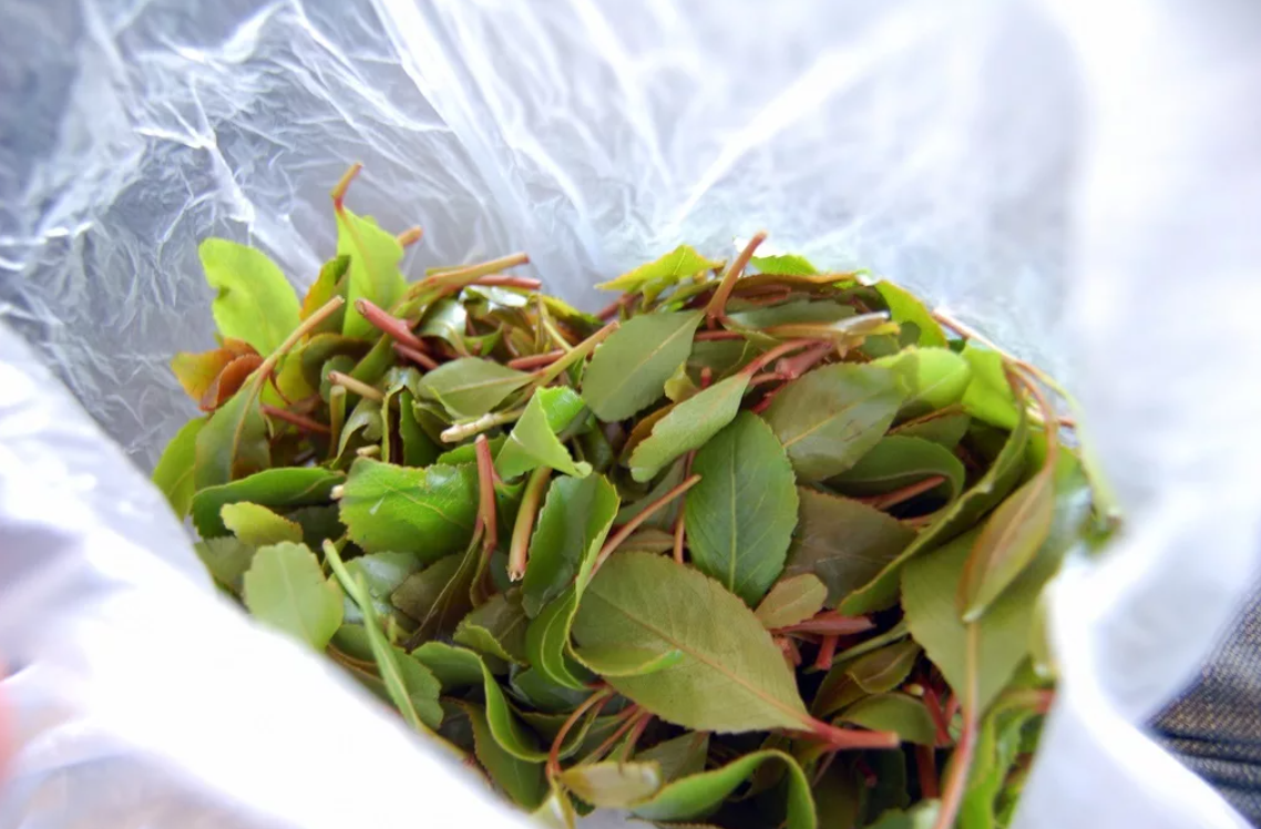 Источник изображения - Яндекс Поиск