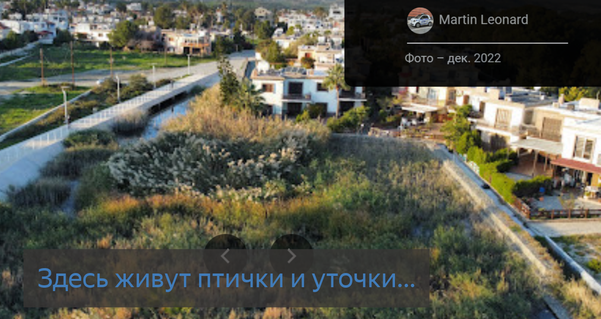 Их болтовня для московского жителя это умиротворящий глас природы...Если помните сериал Клан Сопрано, так там Тони Сопрано на утках вообще поехал. Они реально милые. Кря-кря...