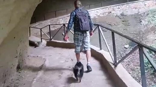 САД ЛЮДМИЛЫ В ОСИНОВОЙ РОЩЕ | ПЕЙЗАЖНЫЙ курортный парк Кисловодска ...