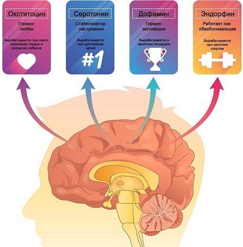 ГОРМОНЫ УДОВОЛЬСТВИЯ: КАК ИХ ПОЛУЧИТЬ