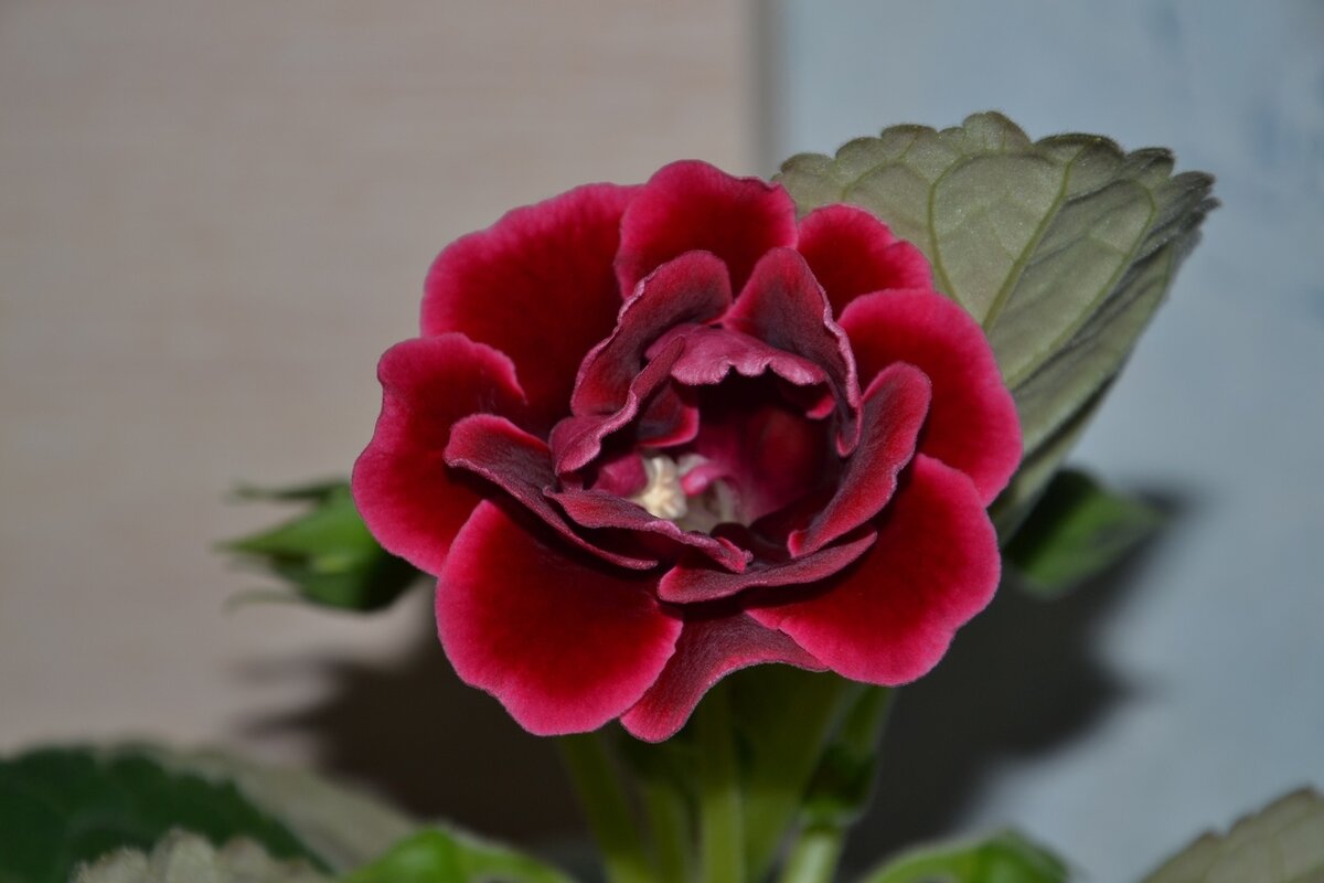 Фото из моего архива