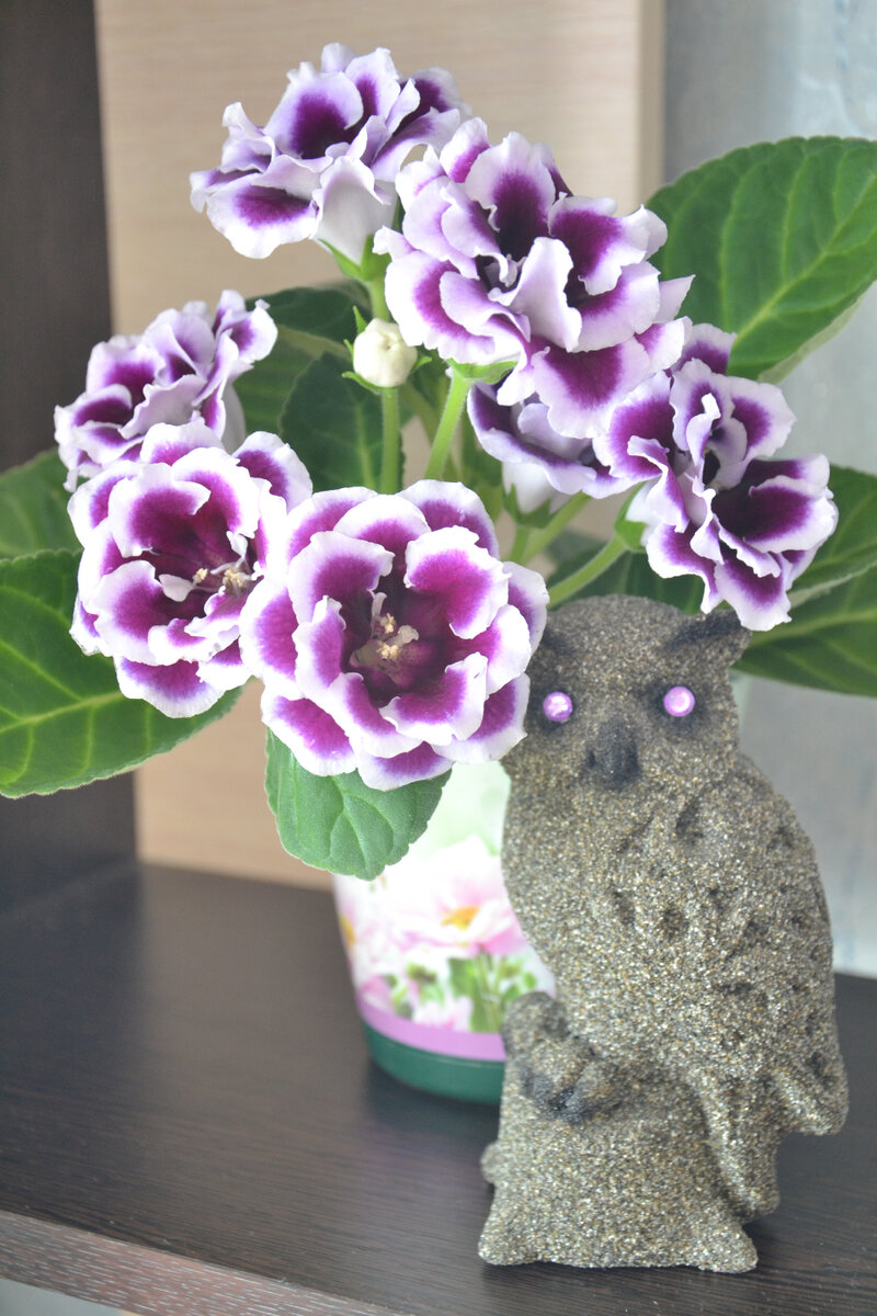 Фото из моего архива