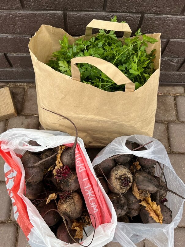    Глава Бугуруслана передал для бойцов СВО овощи и зелень со своего огорода Кристина Просвиркина